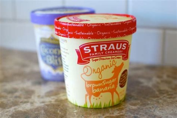 organic ice cream brands