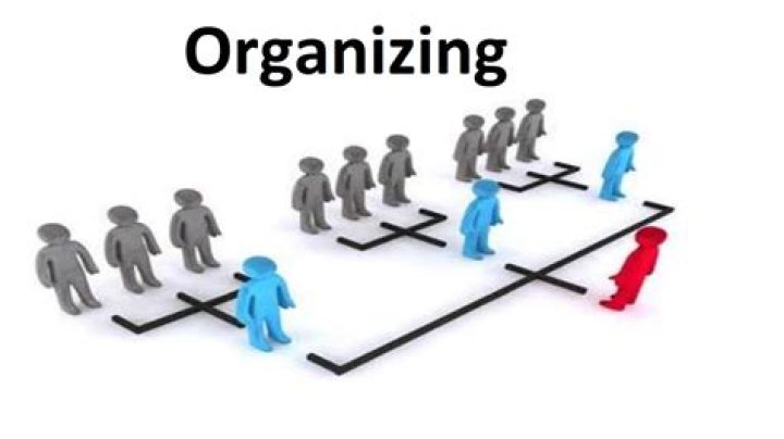 organizing in management