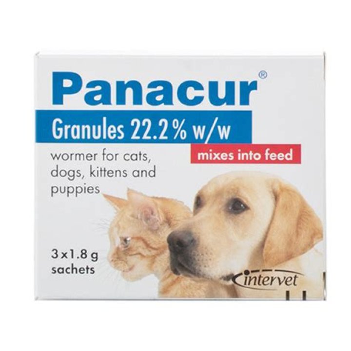 panacur for cats
