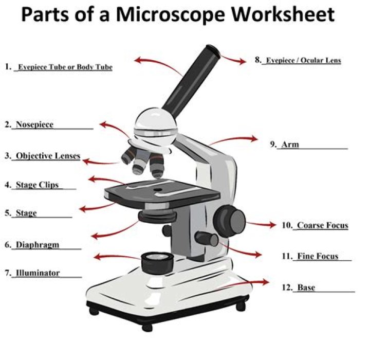 parts of microscope