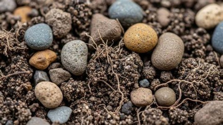 pebbles and soil