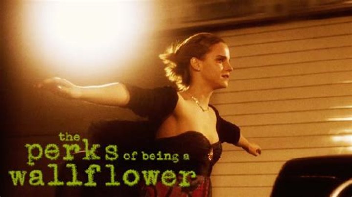 perks of being a wallflower car scene