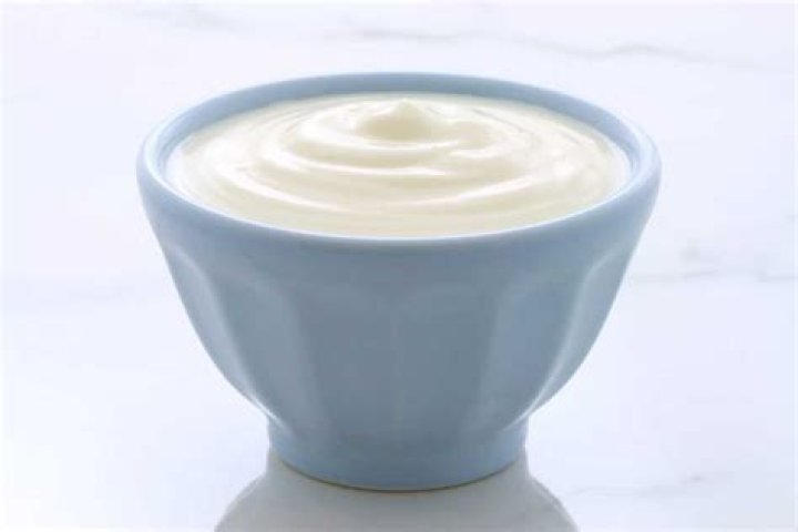 plain vanilla yogurt