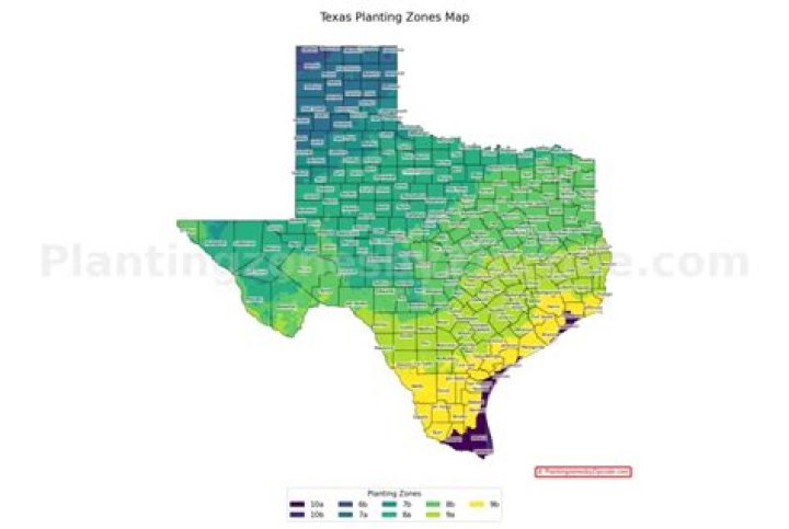 planting zones in texas