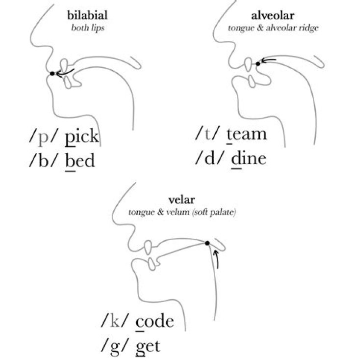 plosives
