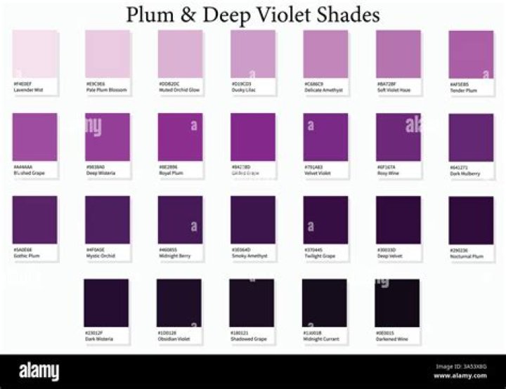 plum vs purple