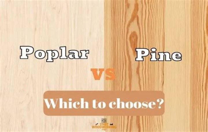 poplar vs pine