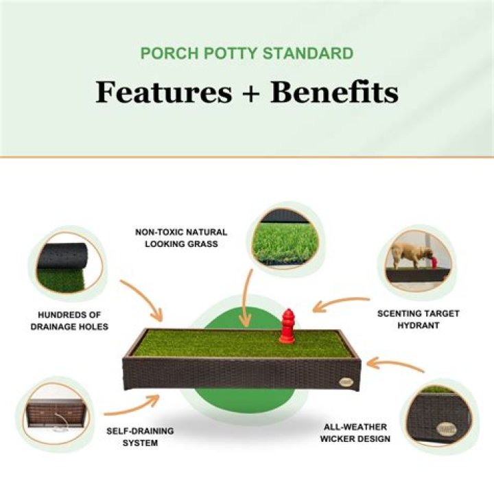 porch potty