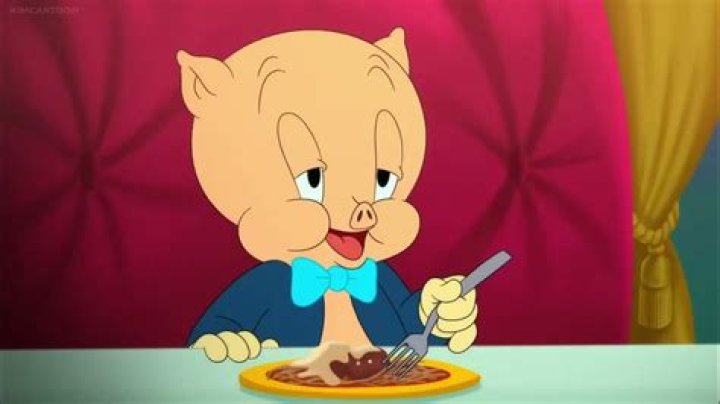 porky pig’s girlfriend petunia