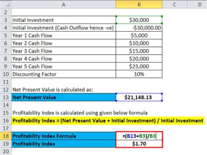 profitability index excel