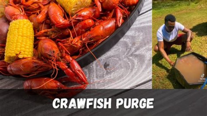purge crawfish