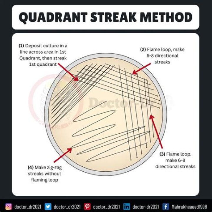 quadrant streak plate