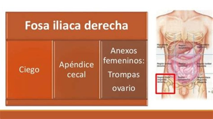 ¿Que se encuentra en la fosa iliaca derecha