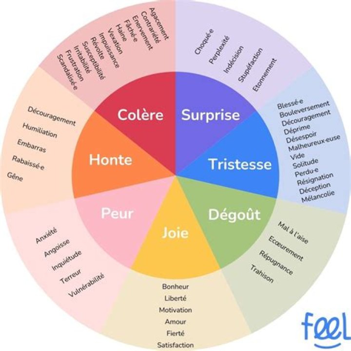 Quelles sont les 7 émotions
