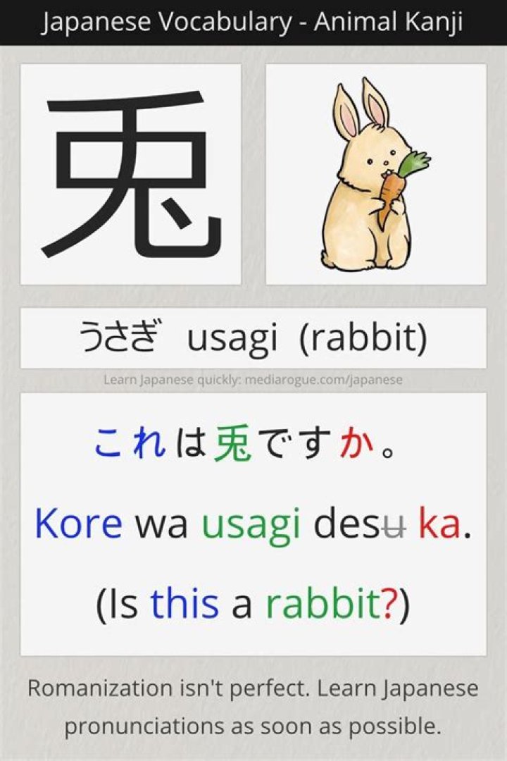 rabbit in japanese