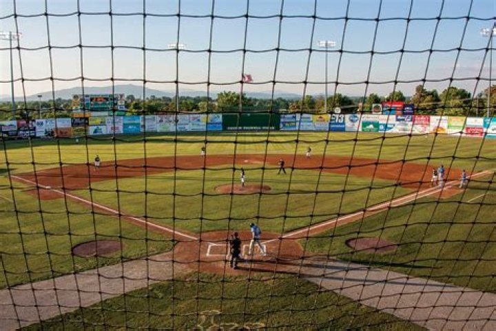 rakes baseball