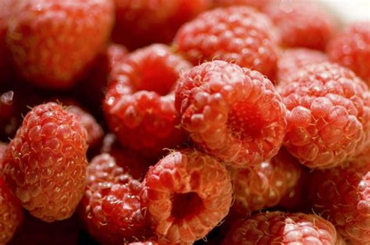raspberries glycemic index