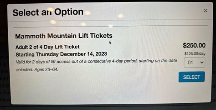 rei mammoth lift tickets