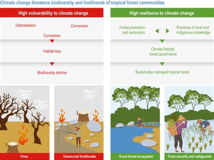 response to the environment
