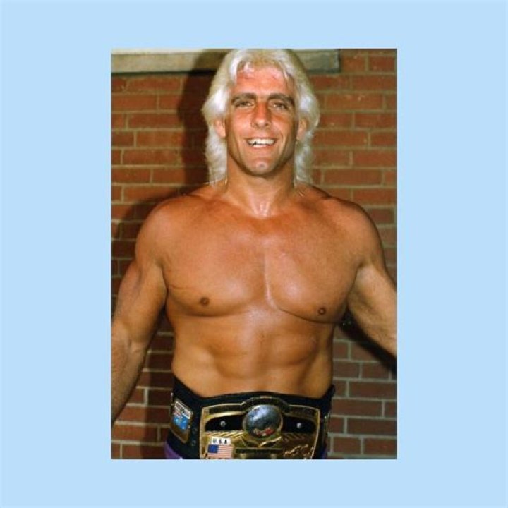 ric flair net worth
