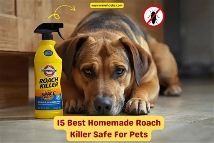 roach killer safe for pets