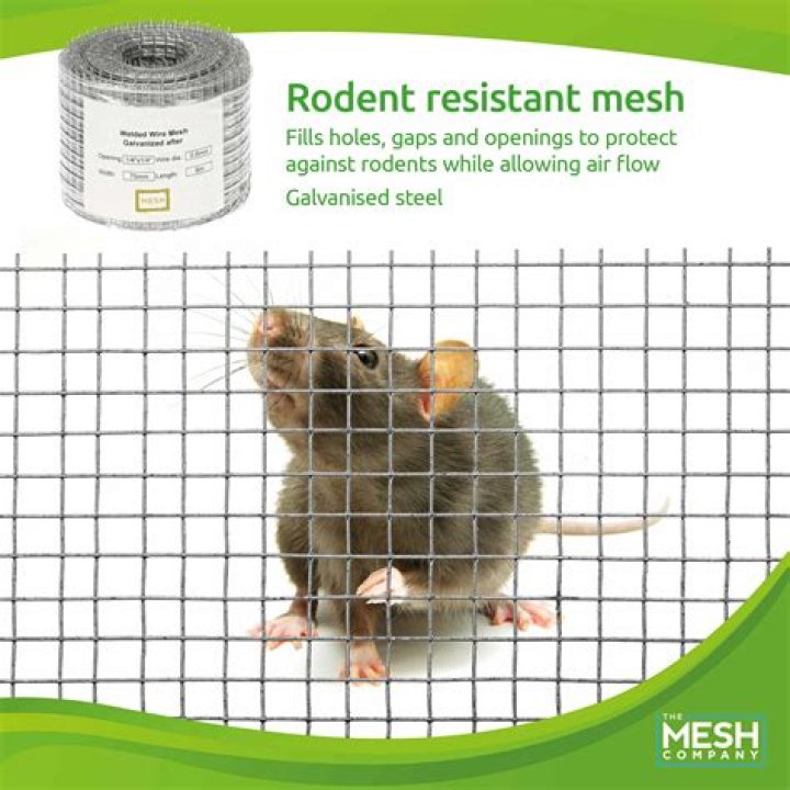 rodent mesh