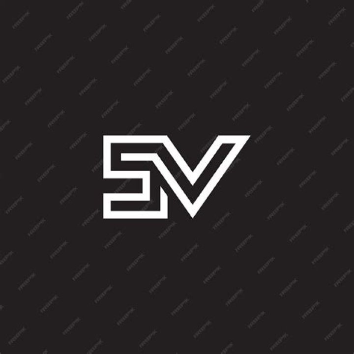 s/v meaning