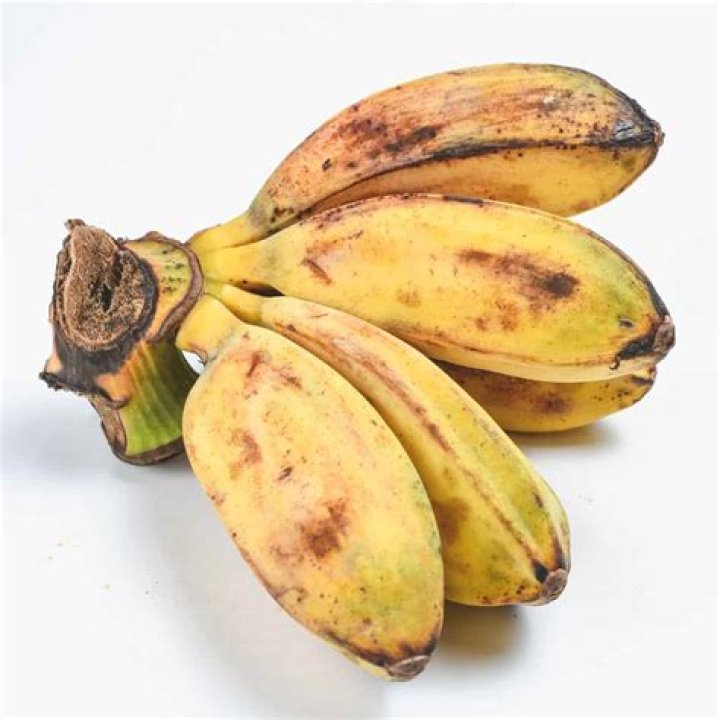 saba banana in english