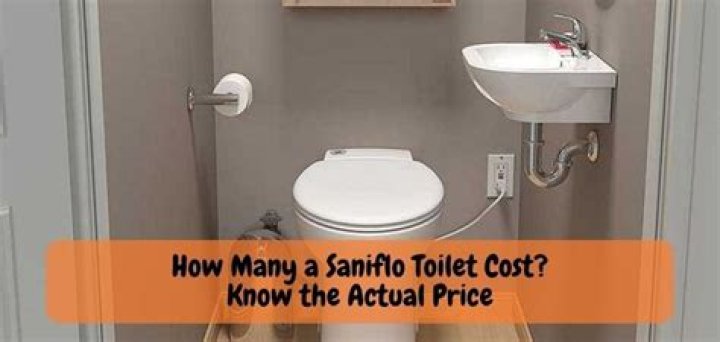 saniflo toilet cost