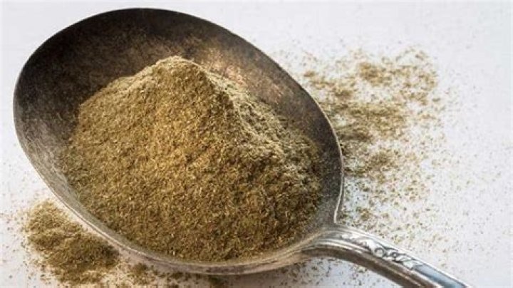 sassafras drug