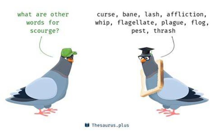 scourge synonym