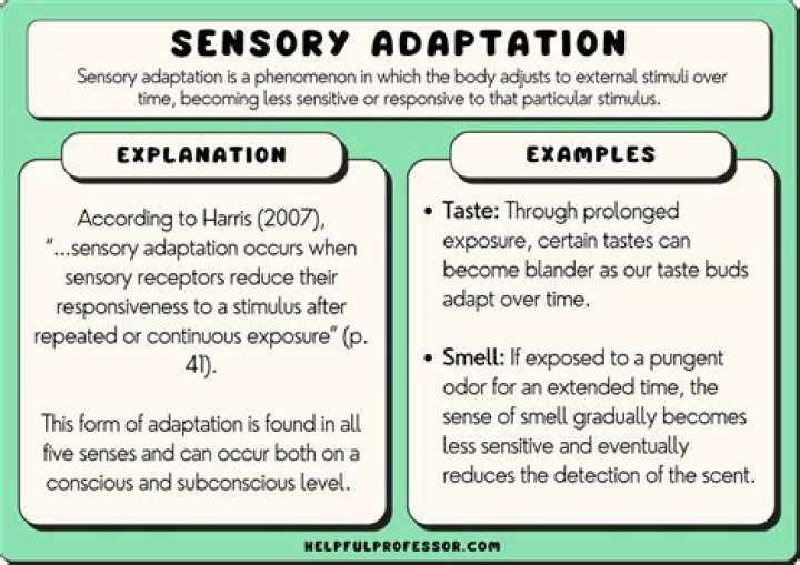 sensory adaptation psychology definition