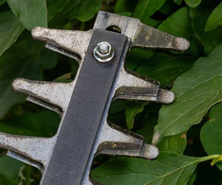 sharpening hedge clippers