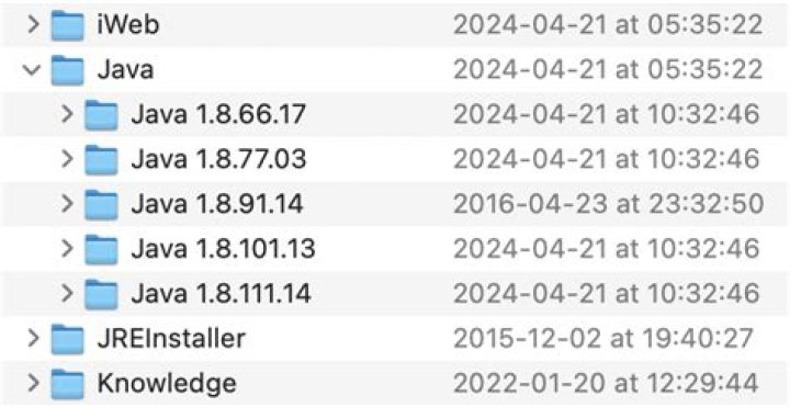 Should I remove Java from my Mac