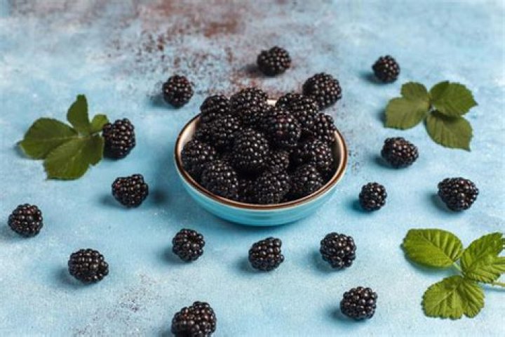 Should you prune blackberry bushes