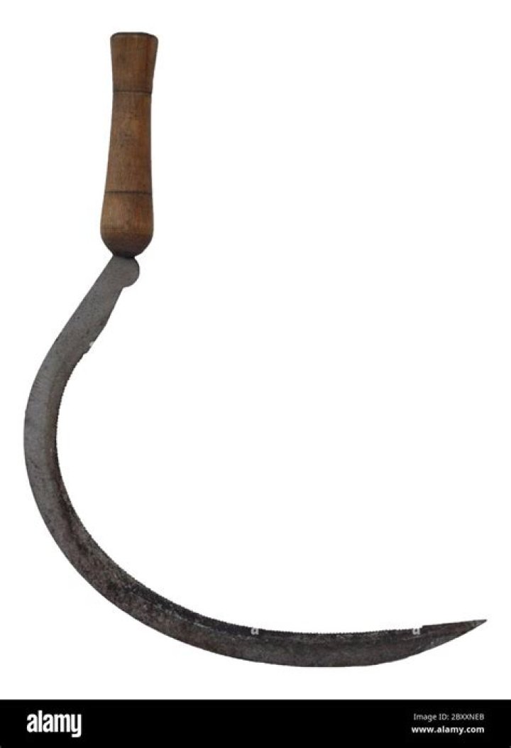 sickle farm tool