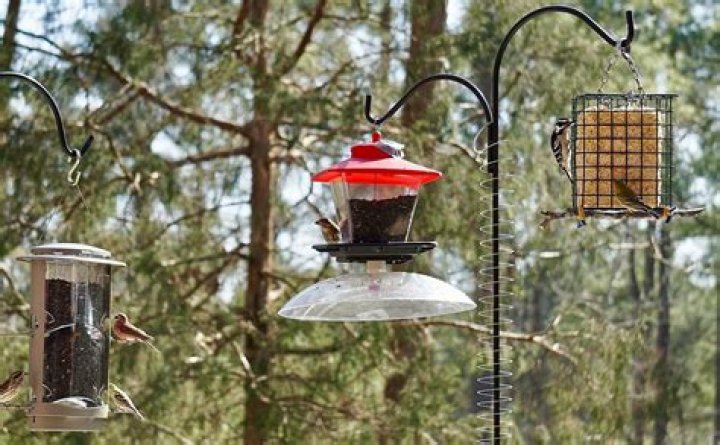 slinky on bird feeder pole