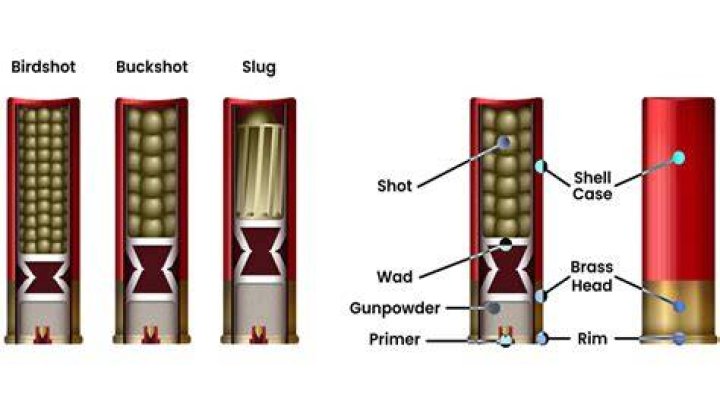slug bullet