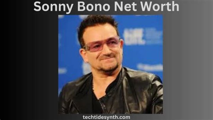 sonny bono net worth