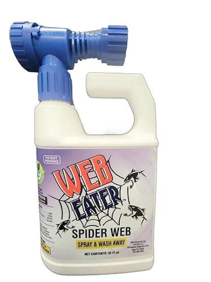 spider web spray
