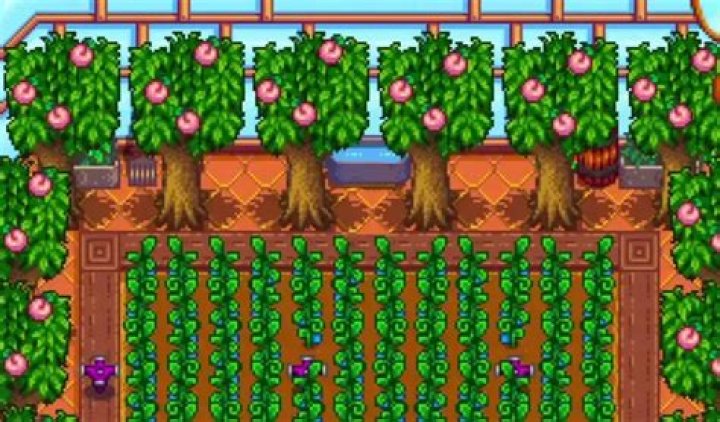 stardew valley greenhouse