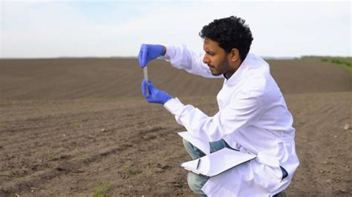 study of soil