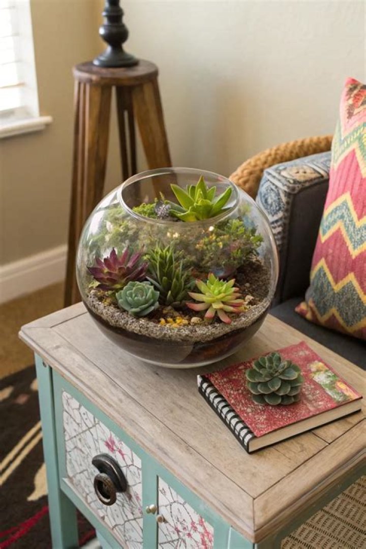 succulent aquarium