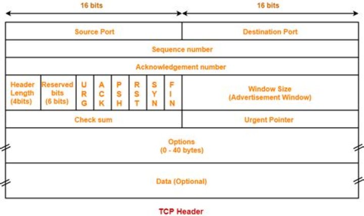 tcp header size