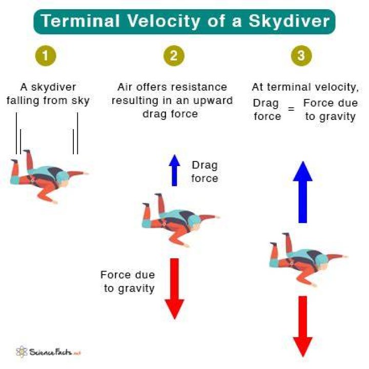 terminal velocity human