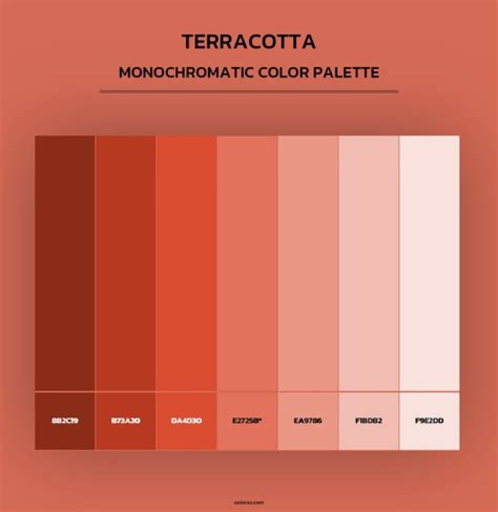 terracotta color