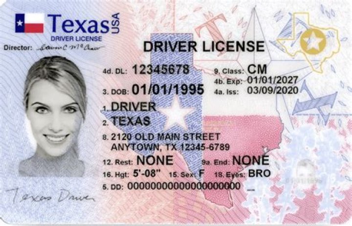 texas drivers license status
