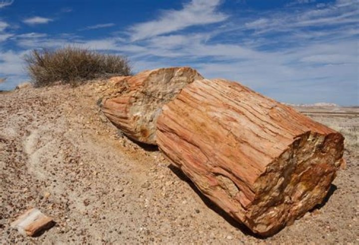 texas state stone