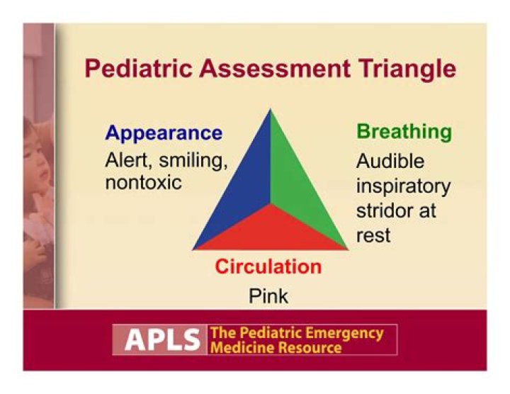 the components of the pediatric assessment triangle (pat) are