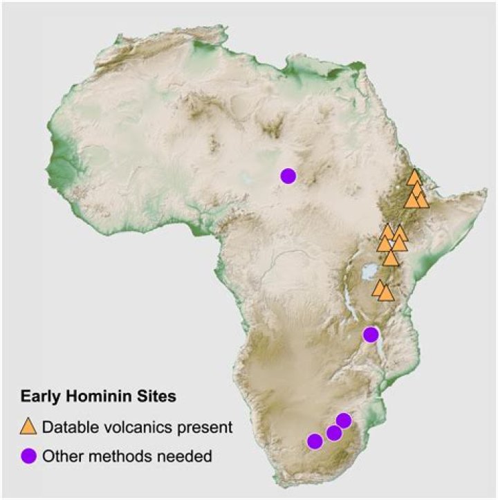 “the first hominin species to disperse from africa